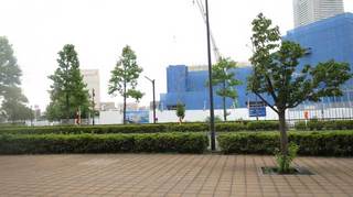 IMG_0174.jpg