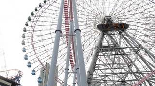 IMG_0185.jpg