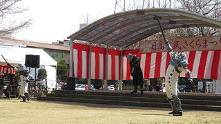 IMG_4220.jpg