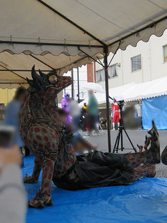 IMG_4484.jpg