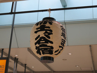 IMG_8461.jpg
