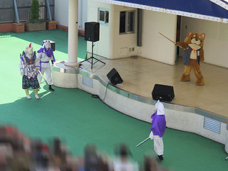IMG_9555.jpg