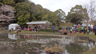 P4045473 2.jpg