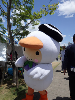 P6045324.jpg