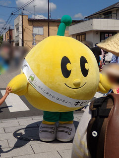 P6075056.jpg