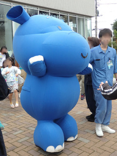 PA132810.jpg