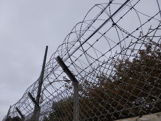 PB028319.jpg