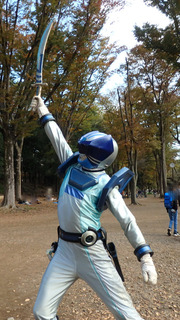 PB113143.jpg